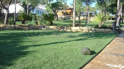 Galeria - Jardim e Construções Diversas