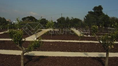 Galeria - Jardim e Construções Diversas