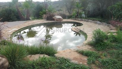 Galeria - Jardim e Construções Diversas